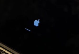 google photos screensaver shows black on mac