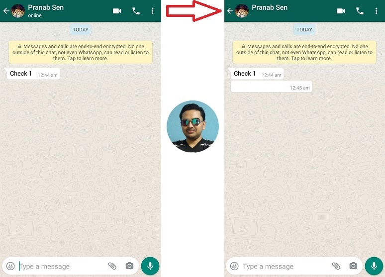 WhatsApp Online Status Hide While chatting Show offline TechniqueHow