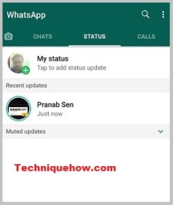 how to check whatsapp status